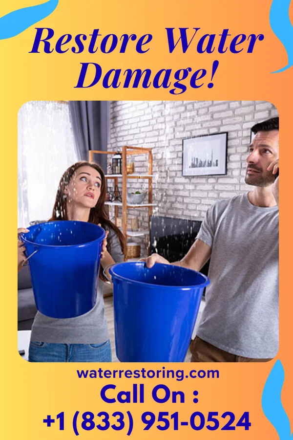 water restoration Summit Water Mitigation Masters Stockham