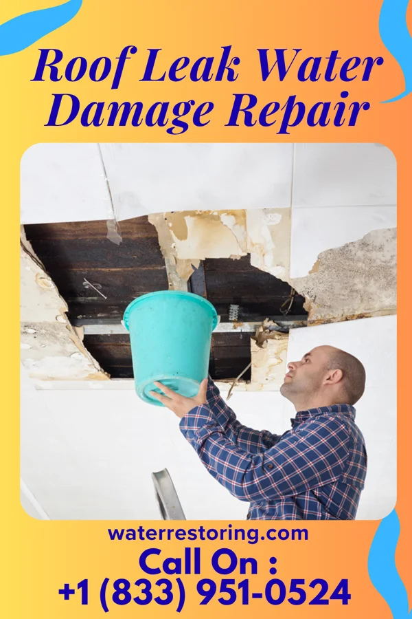 Roof Leak Water Damage Repair in Stockham, NE