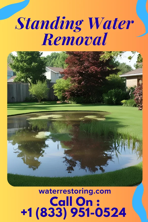 Standing Water Removal in Stockham, NE
